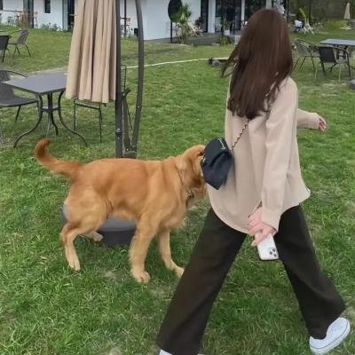 与狼共枕