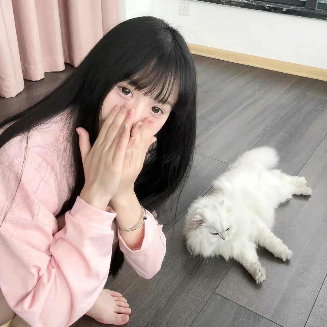 断线森林